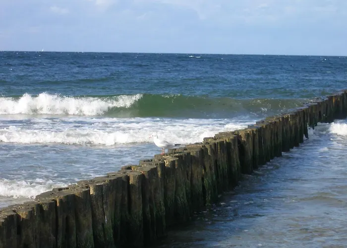 Strandgut Börgerende-Rethwisch
